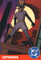 Catwoman Against A Wall