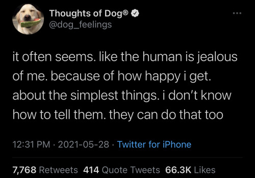 it often seems. like the human is jealous of me. because of how happy i get. about the simplest things. i don't know how to tell them. they can do that too